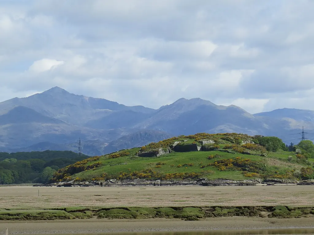 The estuary landscape at Ynys, with mountains in the distance